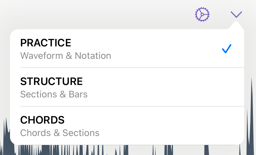 Song View Selector