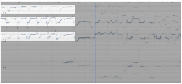 Harmonics shown in the spectrogram