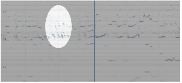 Slides shown in the spectrogram